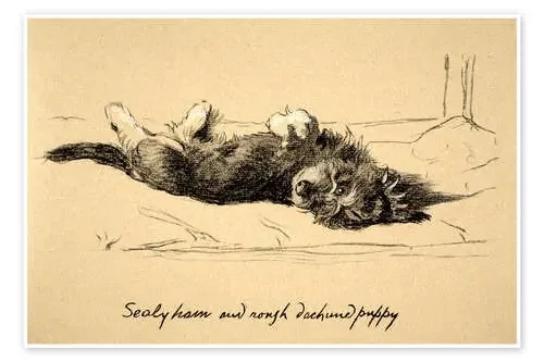 Rough Dachshund Puppy de Cecil Charles Windsor Aldin Bridgeman Images