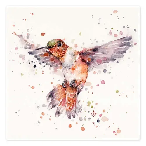 Rufous el colibrí de Sillier Than Sally