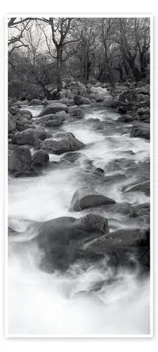 Rustic River Landscape in the Morning Editors Choice