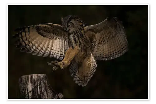 Safe landing de Roelof de Hoog