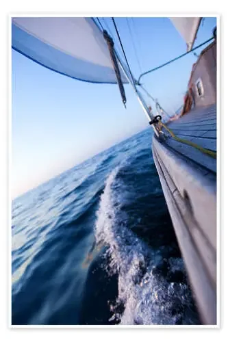 Sailing in summer Editors Choice