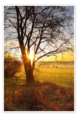 Salida del sol en los campos de Dave Derbis