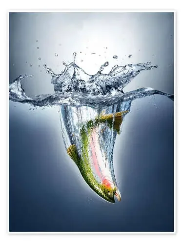 Salmón chapoteando en el agua Science Photo Library