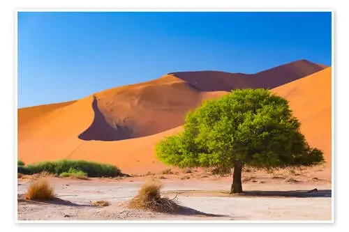Sand dunes and Acacia trees at Sossusvlei, Namib desert, Namibia de Fabio Lamanna