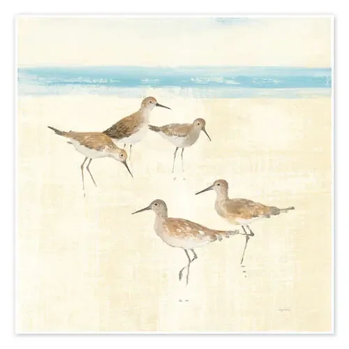 Sandpiper I de Avery Tillmon Wild Apple Graphics