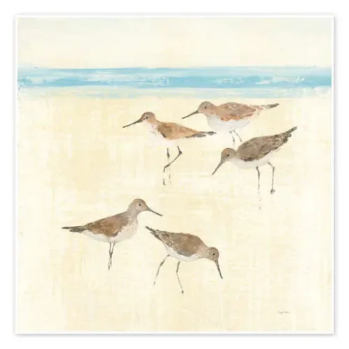 Sandpiper II de Avery Tillmon Wild Apple Graphics
