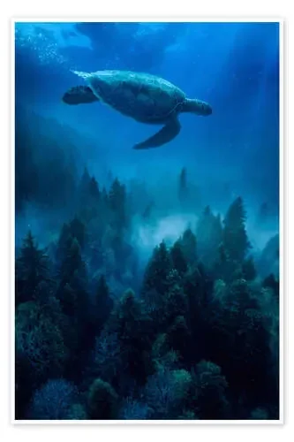 Sea turtle in the underwater forest de Gen Z