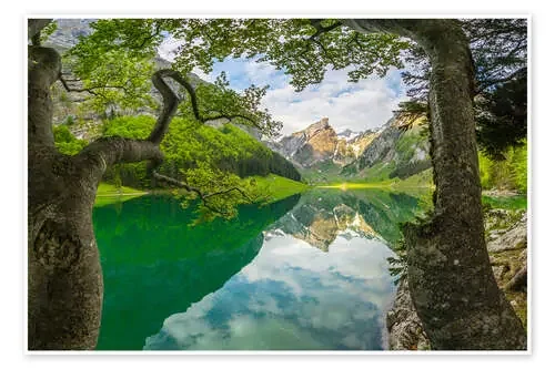 Seealpsee de Muharrem Ünal