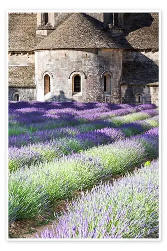 Senanque abbey and lavender, Provence de Matteo Colombo