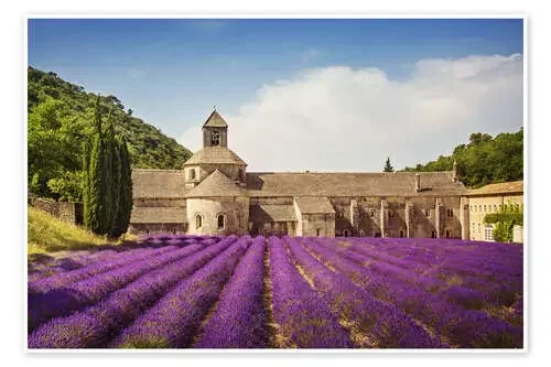 Senanque Abbey with lavender fields de Elena Schweitzer