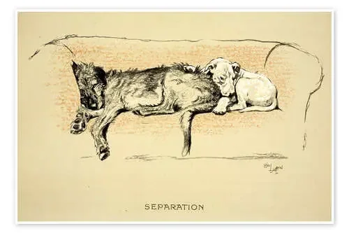 Separation de Cecil Charles Windsor Aldin Bridgeman Images