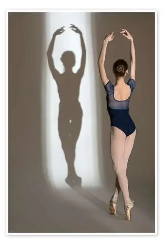 Shadow of Ballerina Editors Choice