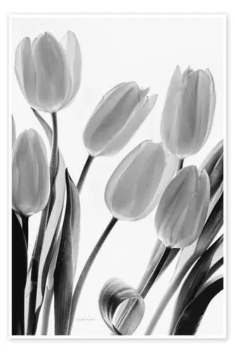Shadows and Light I de Elizabeth Urquhart Wild Apple Graphics