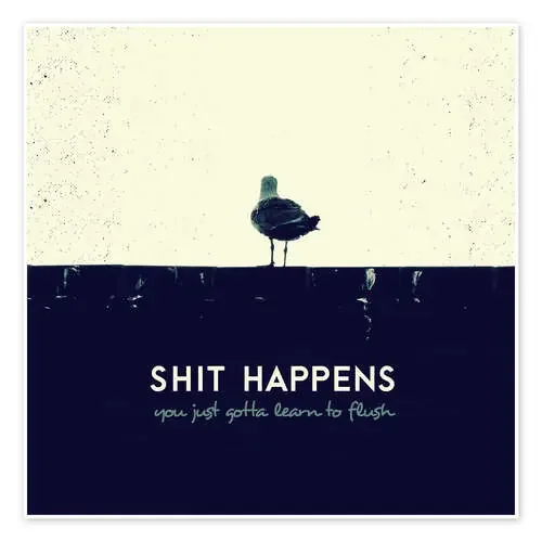 Shit Happens de Romina Lutz