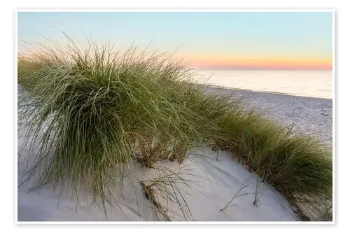 Silence on the west beach de Moqui, Daniela Beyer