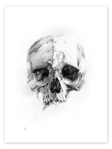 Skull de Alexis Marcou