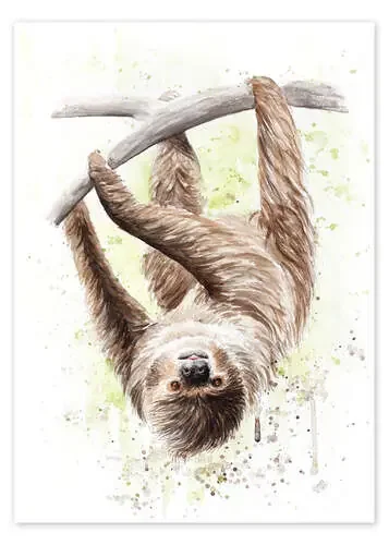 sloth de Nadine Conrad