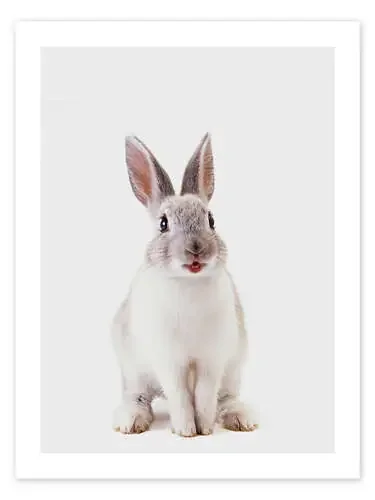 Smiling Rabbit de Animal Kids Collection Editors Choice