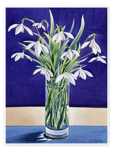 Snowdrops de Christopher Ryland Bridgeman Images