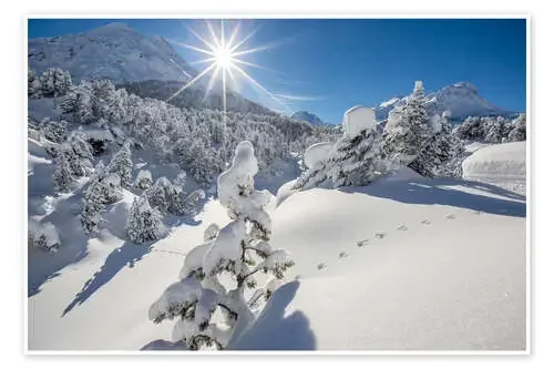 Snowy woods Maloja Switzerland de Roberto Sysa Moiola