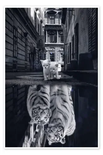 Soñar a lo grande – gatitos se convierten en tigres de Gen Z
