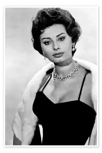 Sophia Loren Portrait Everett Collection