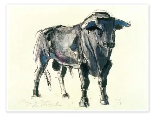 Spanisch bull de Mark Adlington Bridgeman Images