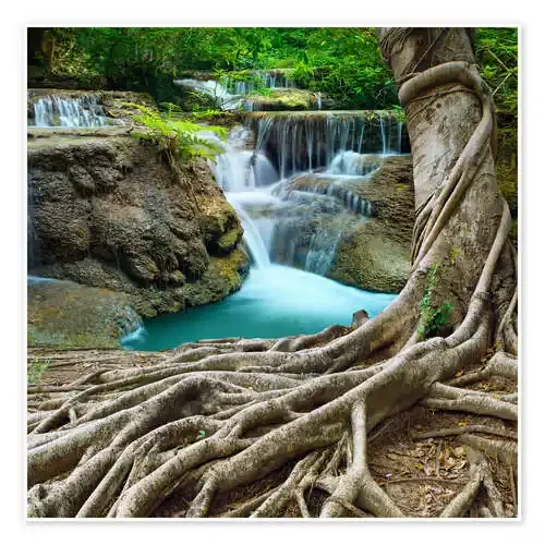 sprawling roots Editors Choice
