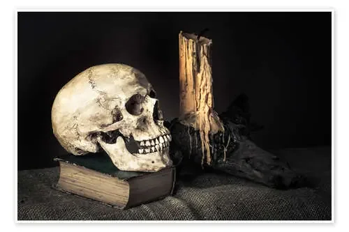 Still Life with Skull Editors Choice