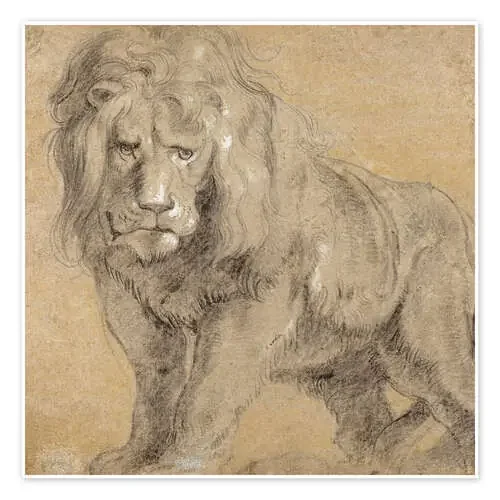 Study of a lion de Peter Paul Rubens Master Collection