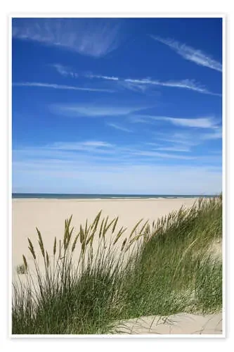 Summer beach grass de Susanne Herppich