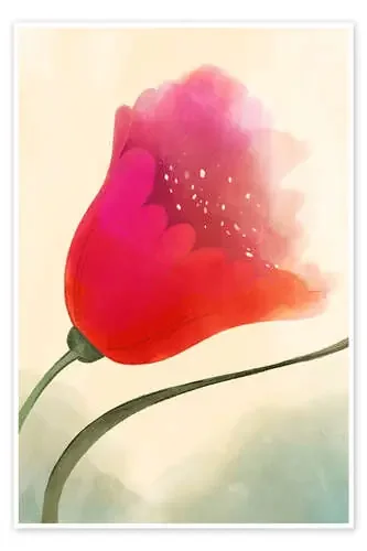 Summer Flower in Red de Alex Peter