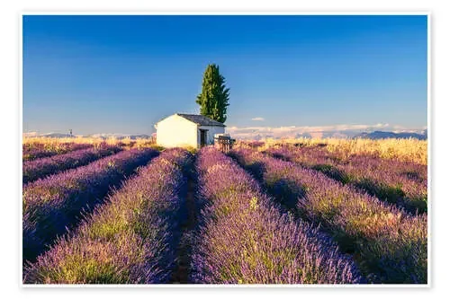 Summer in Provence de Achim Thomae