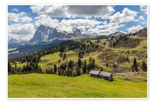 Summer on the Alpe di Siusi (South Tyrol, Italy) de Christian Müringer