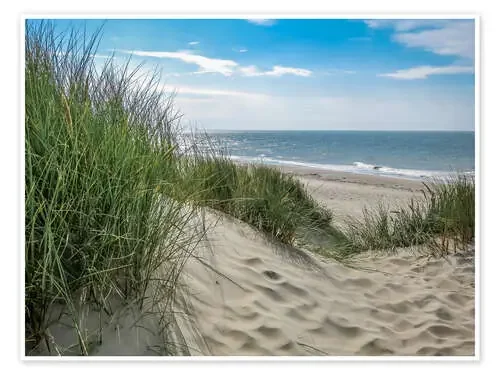 Summery dune landscape in Holland de Susanne Herppich