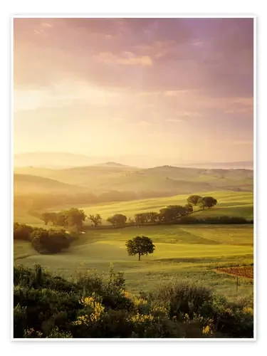 Sunrise at Val d‘Orcia, near San Quirico, Val d‘Orcia (Orcia Valley), UNESCO World Heritage Site, Si de Markus Lange Robert Harding