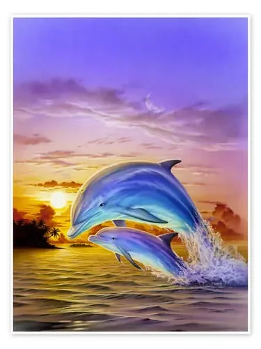 Sunset dolphins de Robin Koni MGL Licensing