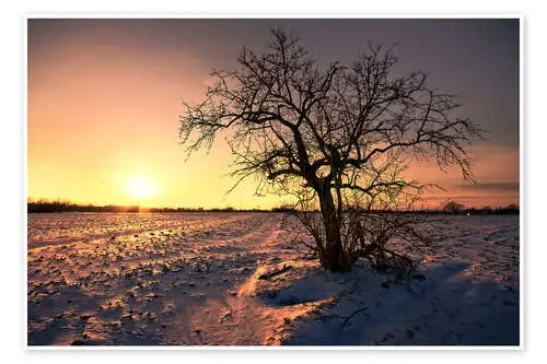 Sunset in winter de Dennis Fischer