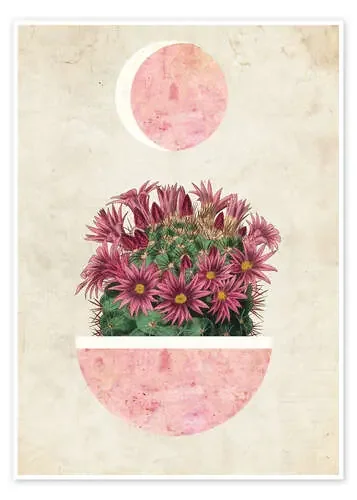 sunshine cactus de MiaMia