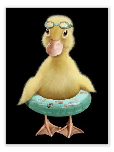 Swimming Duck de Adam Lawless 1x