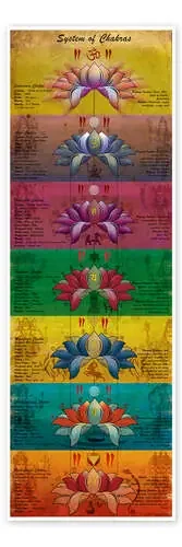 System of Chakras Contrastive View de Sharma Satyakam