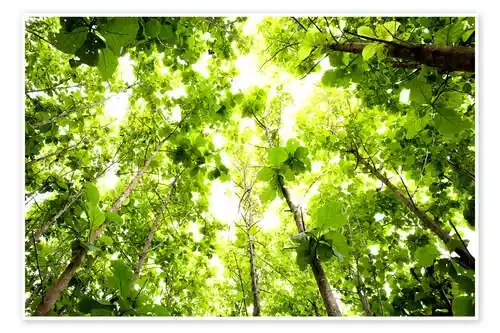 Tejado verde Editors Choice