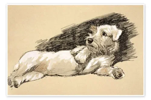 Terrier de Cecil Charles Windsor Aldin Bridgeman Images