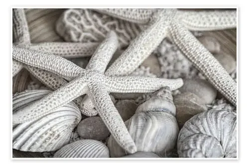 Tesoros de la playa de Andrea Haase Foto