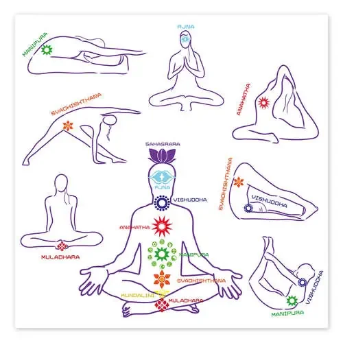 The 7 chakras Editors Choice