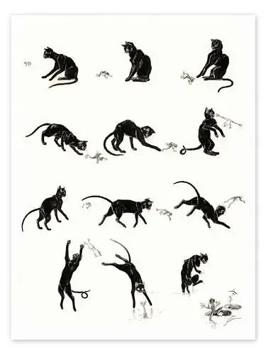 The cat and the frog de Théophile-Alexandre Steinlen Master Collection