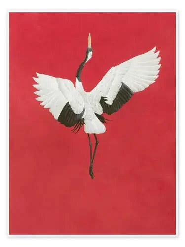 The Dance-Red de Tim Hayward Bridgeman Images