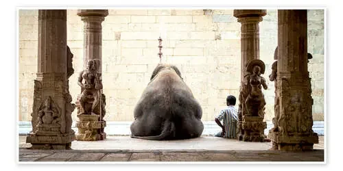 The Elephant & its Mahot de ruhan 1x
