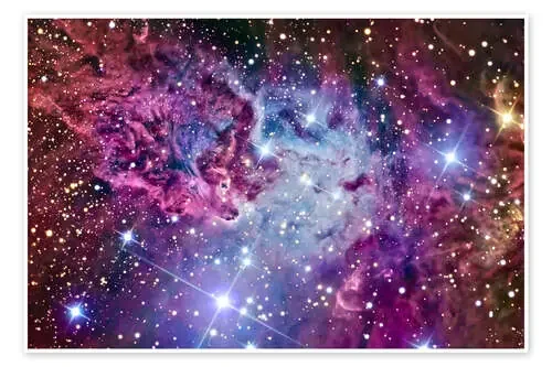 The Fox Fur Nebula de R Jay GaBany Stocktrek Images
