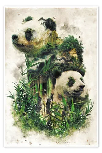 The Giant Panda de Barrett Biggers